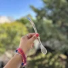 Bombilla Pico de Loro