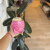 Torpedo Exclusivo Rosado con Base de Cuero Labrado